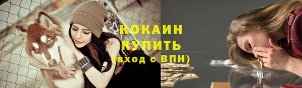 mdpv Надым