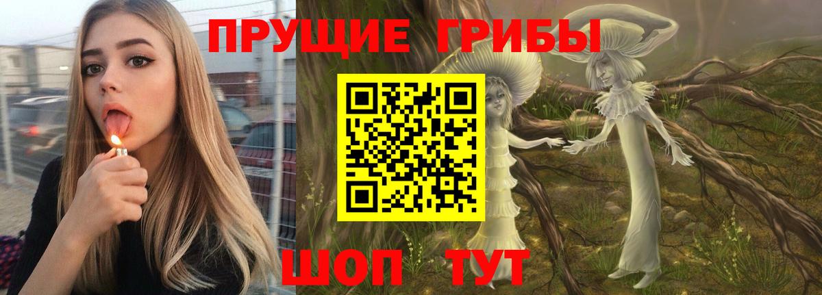 Псилоцибиновые грибы Psilocybine cubensis Лиски