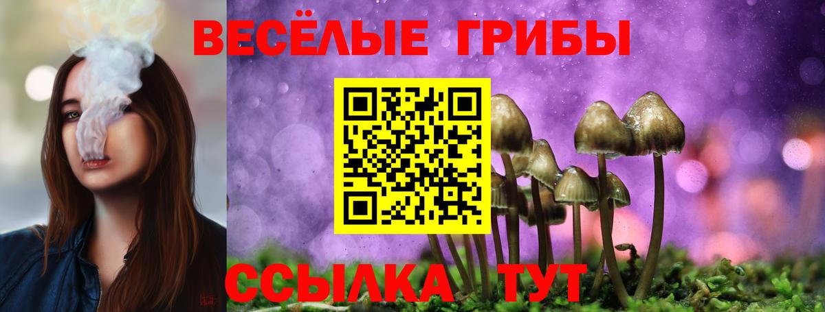 Галлюциногенные грибы мицелий  Вход с VPN  Лиски  Галлюциногенные грибы MAGIC MUSHROOMS 