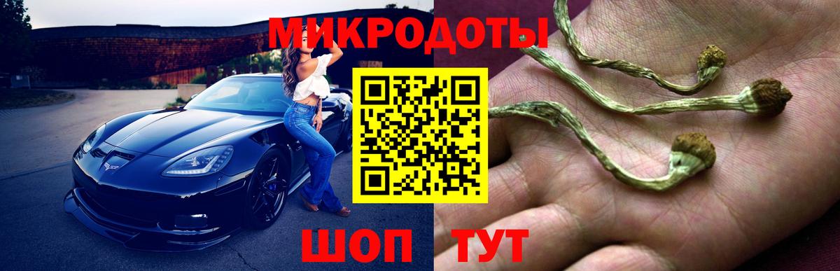 Галлюциногенные грибы Cubensis Лиски